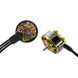 Моторы GEPRC GR1204 5000KV gr33 фото 5
