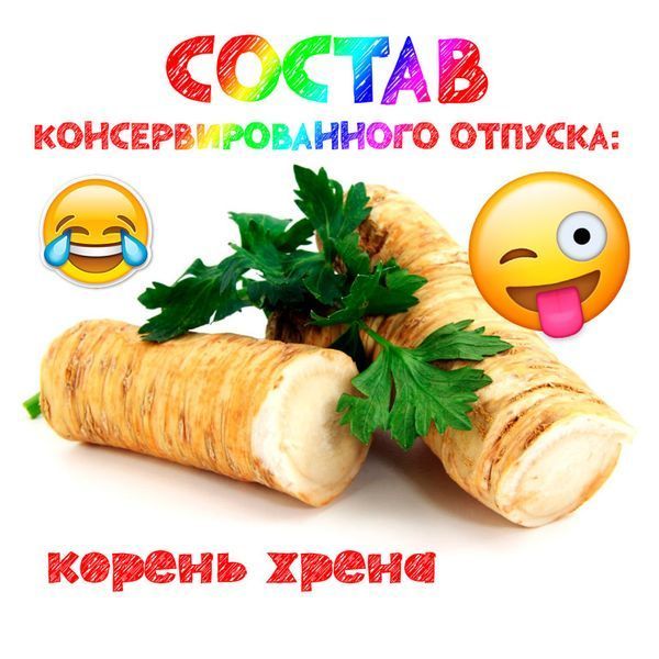 Консервированный Отпуск - Подарок С Юмором Коллеге - Оригинальный Подарок Сотруднику CHWHRU фото