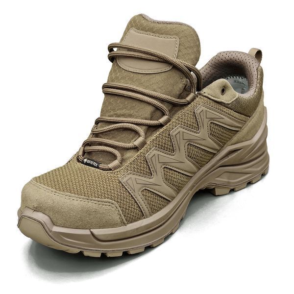 Кросcовки LOWA Innox GTX LO TF Coyote OP 310832 фото